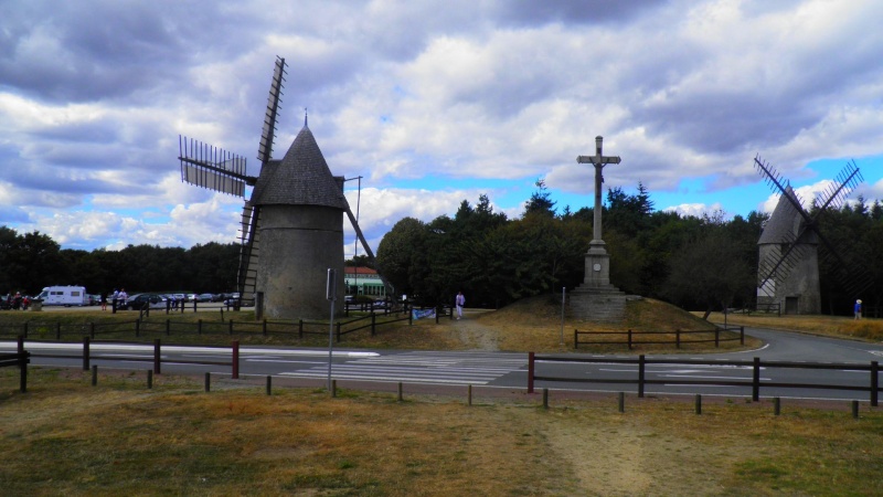 Balade en Vendée... 2717