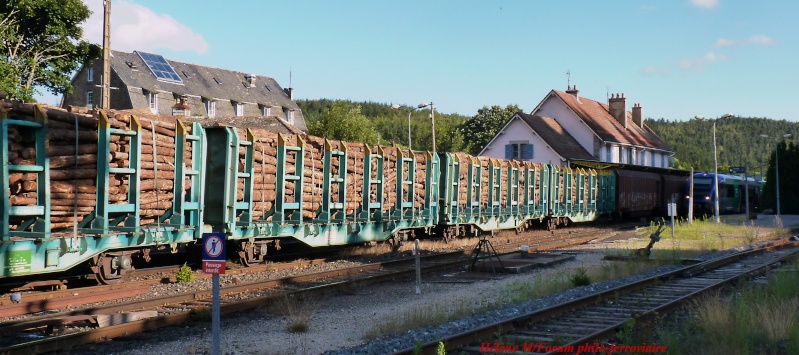 Le train de bois... P1030930