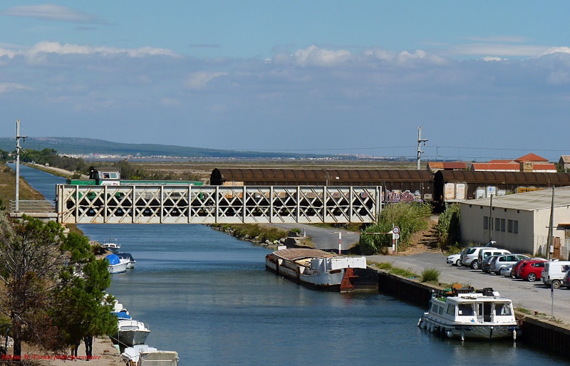 Port-La-Nouvelle : sa gare, son pont, ses étangs... - Page 2 P1040326