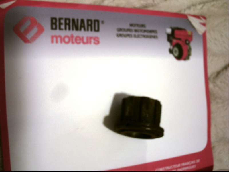 restauration moteur Bernard  Phto0011