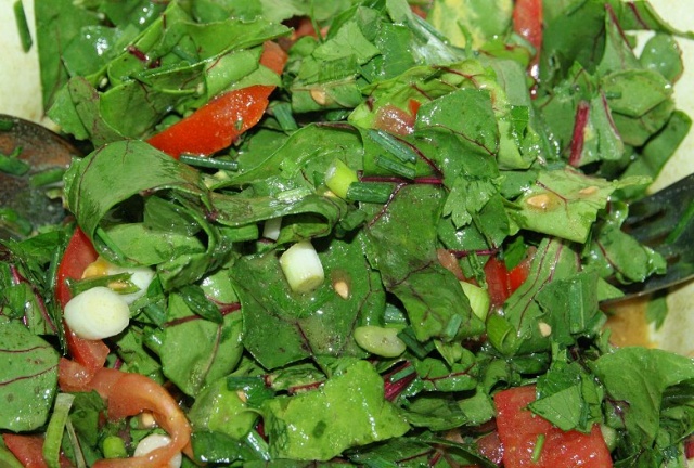 Rote-Bete-Grün-Tomaten-Salat 0012ro10