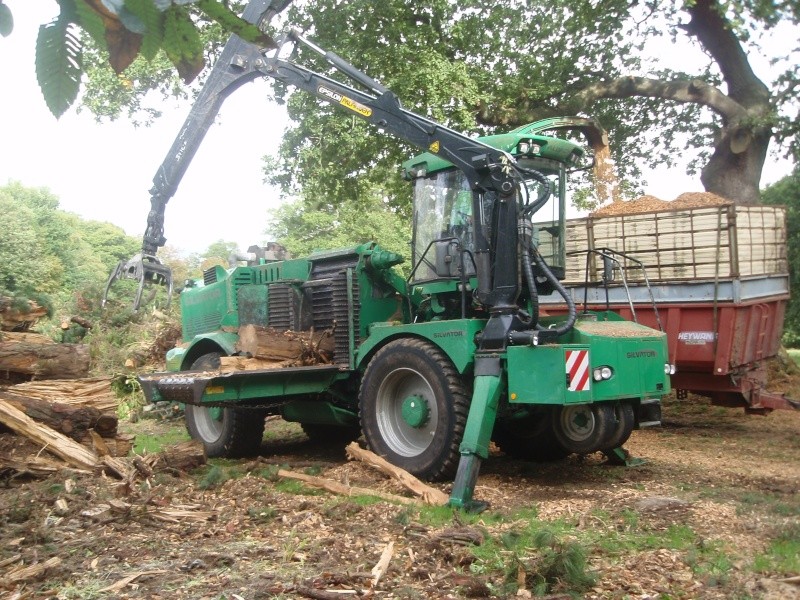 chantier d'abattage Pa042010