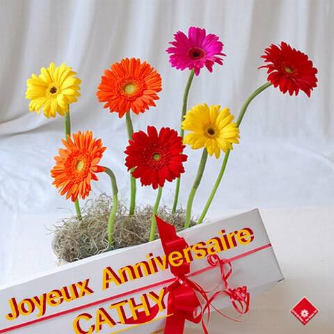 Joyeux Anniversaire Cathy Joyeux Anniversaire Cathy