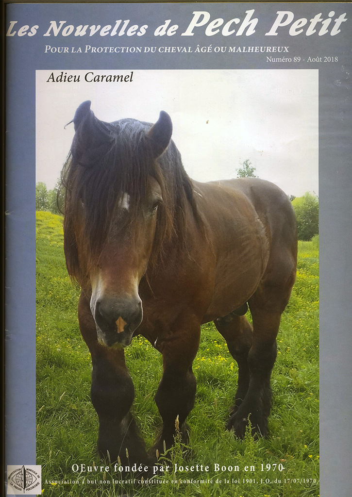 CARAMEL - ONC typé Trait du Nord entier, né en 1995 - accueilli en juillet 2011 chez Pech Petit - Page 7 Carame11