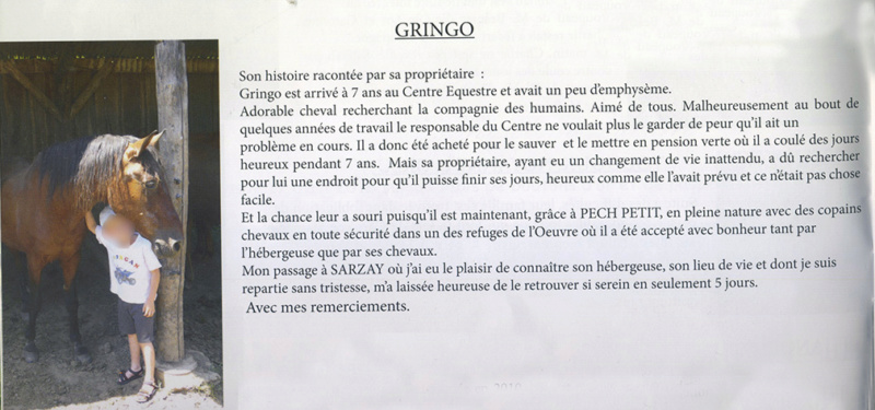 GRINGO – ONC Selle né en 1995 - Pris en charge par Pech Petit en octobre 2017 Gringo12