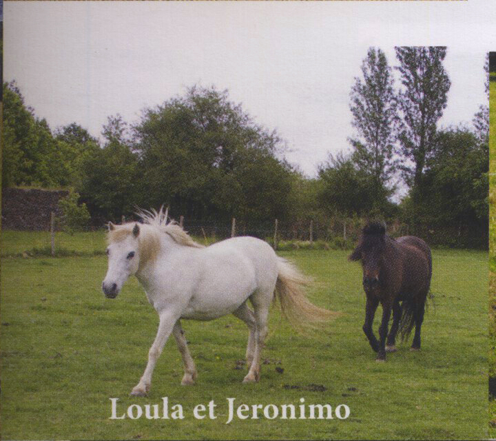 JERONIMO - OI Poney né en 1998 - accueilli chez Pech-Petit en septembre 2017 - DCD en mai 2019 Loulaj12
