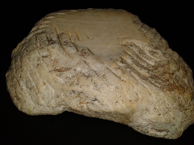 Identification d'un morceau de ... roche ? 2013-012