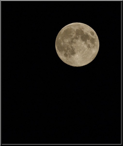  La lune de ce soir ! P8201311