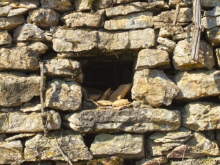 SUR LE CHEMIN DES CADEULES 11_en_10