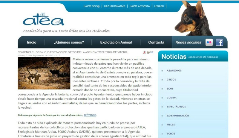 El Ayuntamiento de Vitoria elimina una colonia de gatos en la Agencia Tributaria Atea10