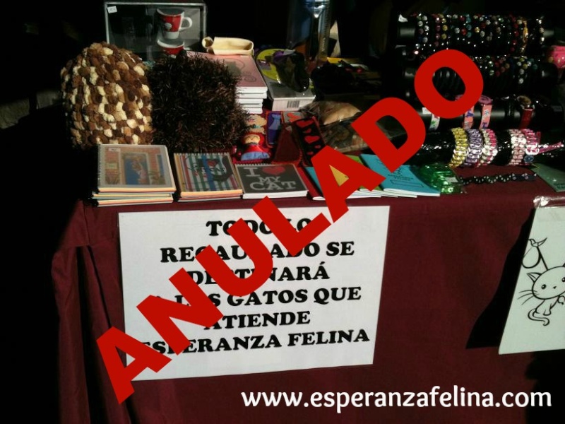 Esperanza Felina en "El Mercado de La Almendra" en Vitoria - Página 20 Img_5332