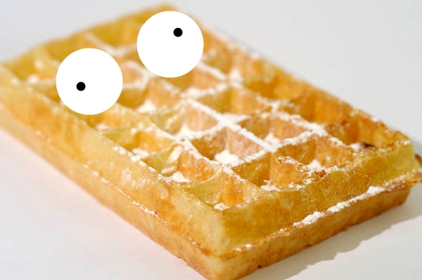 Capillaris X Intermédia hampe Gaufre10