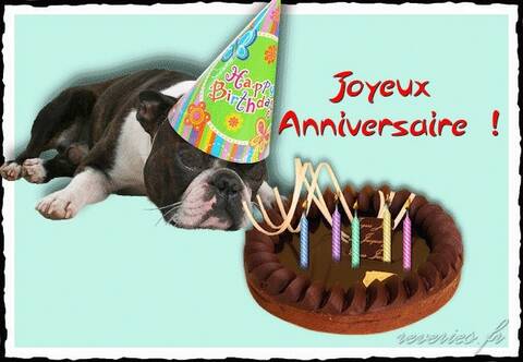 Joyeux Anniversaire Sophie Joyeux Anniversaire Sophie