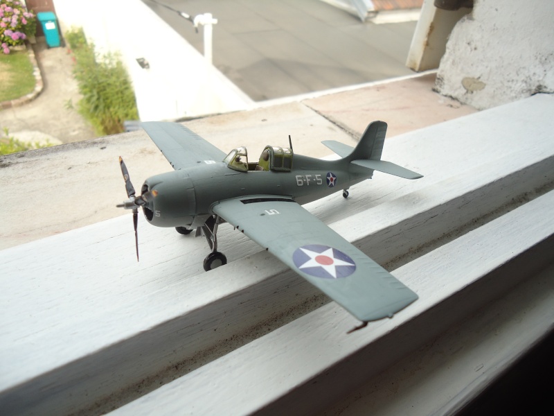 F4F-3 Wildcat - Hobby Boss 1/72 Dsc05711