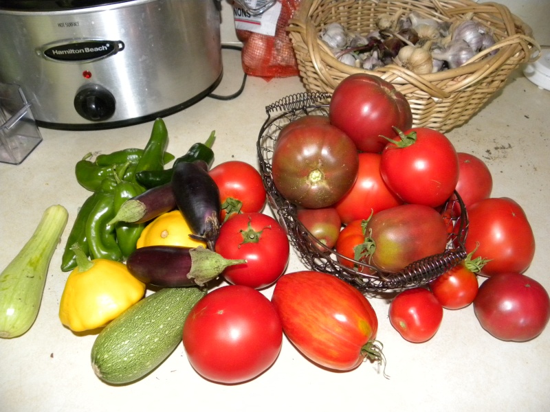 ToMaTo TuEsDaY! Western mountains & high plains! - Page 4 13-aug12
