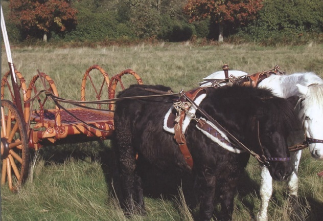 Chariots celtes C610