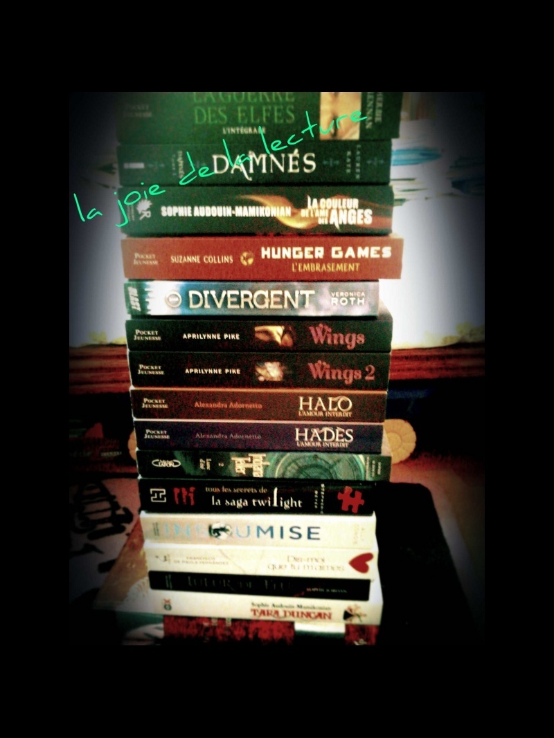 [votes] Concours Pile de livres ! Pile_d11