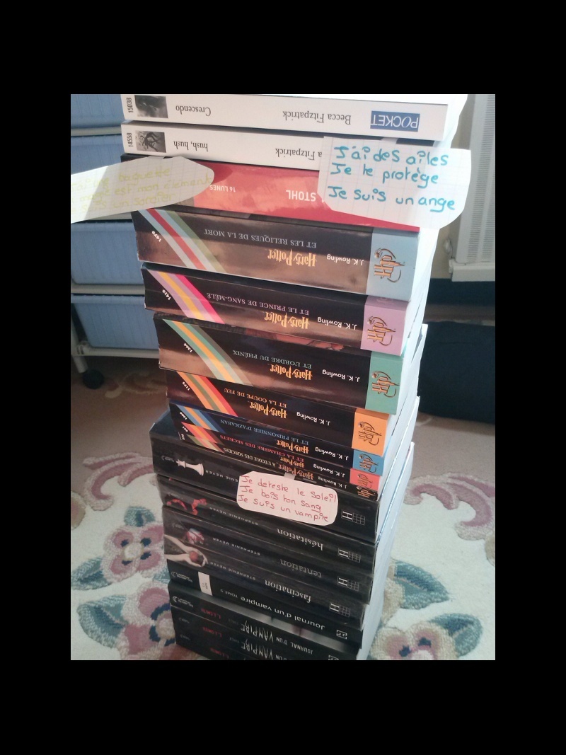 [votes] Concours Pile de livres ! Pile_d14