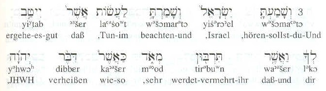 Judentum - Diskurs - Gedankenaustausch mit Jochanan Interl10