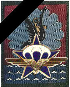 Hommage à Cédric Charenton, caporal au 1er Régiment de chasseurs parachutistes tombé au Mali opération SERVAL - Page 2 Badge_11