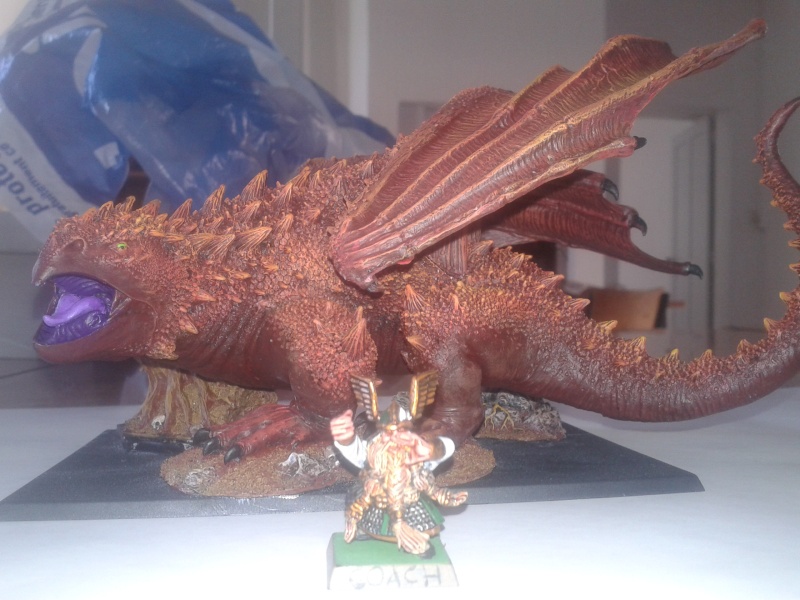 Mes dragons 20130418