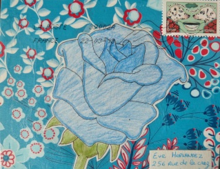 Galerie Roses du jardin P1000613