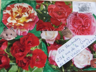 Galerie Roses du jardin P1000615