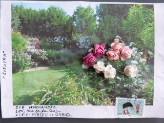 Galerie Roses du jardin P1000621