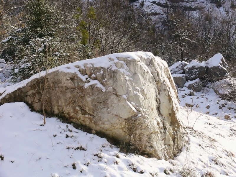 Ballade dans le Vercors P1000014