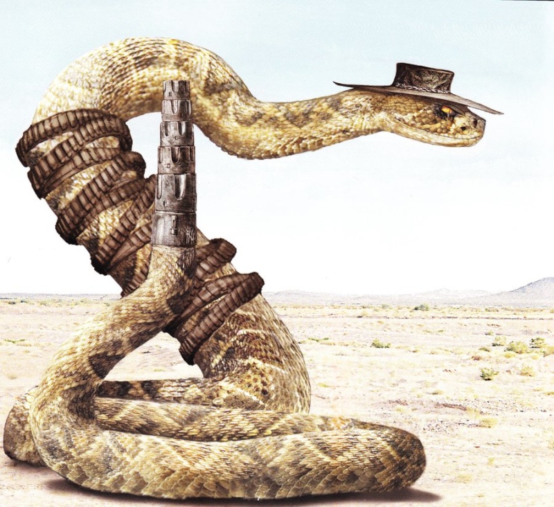 Jake the giant snake Rattle10
