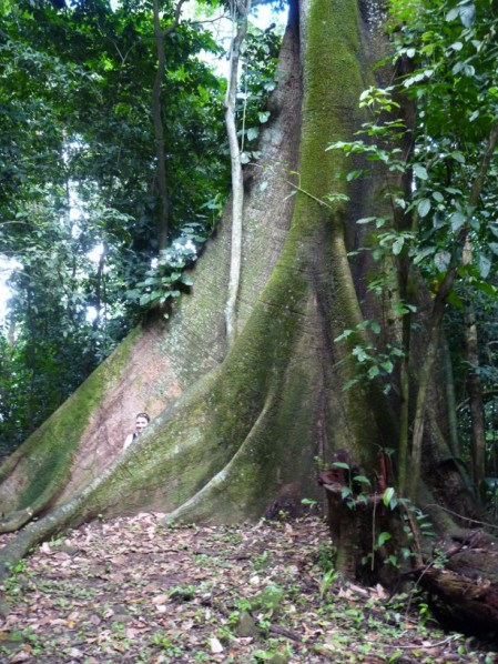 Des arbres qui ne laissent pas indifférents... - Page 11 Fromag10