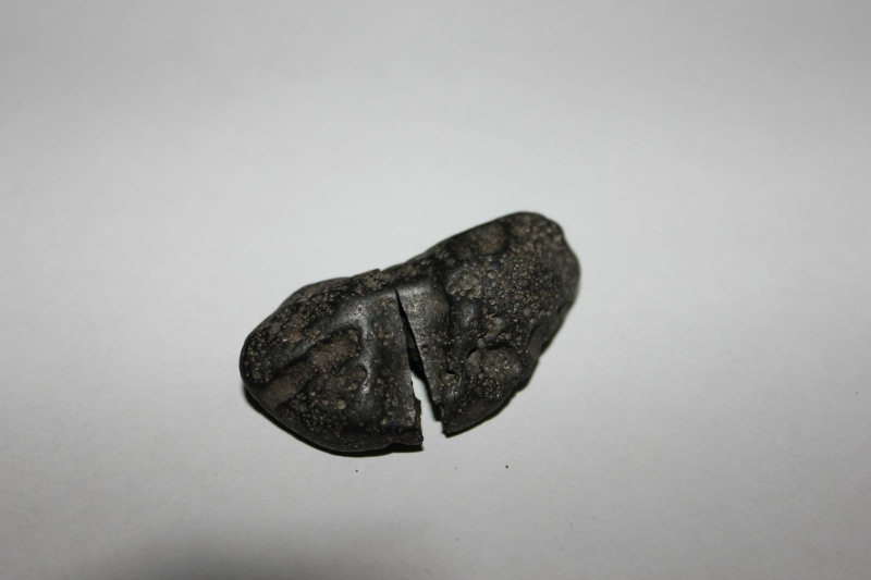 Meteorite? Img_6815