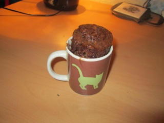 Mug Cake Mug_ca11