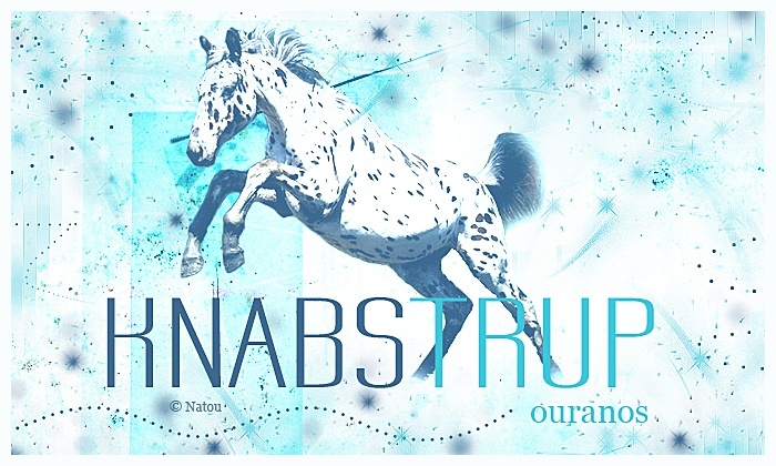 Association Knabstrup