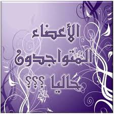 المتواجدون الآن ؟