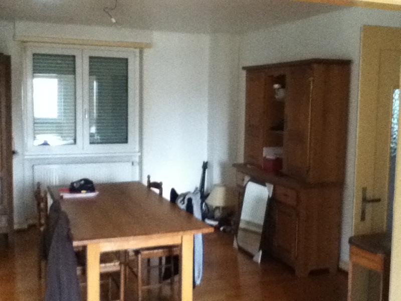 peindre mon salon/salle a manger Photos13