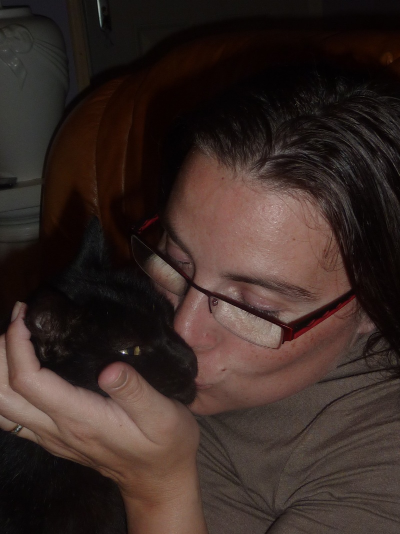 BROWNIE, chat noir, né ~2003 P1160012