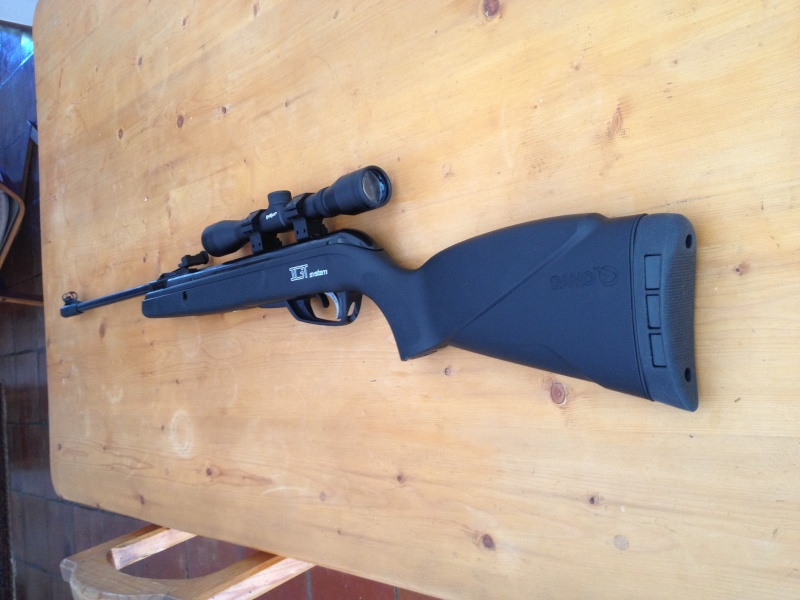 STOEGER - Stoeger x10, Gamo blck shadow IGT, Stoeger ATAC - Page 2 Img_1610