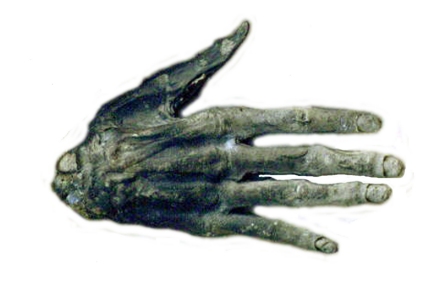 Hand of Glory Hogg_h10