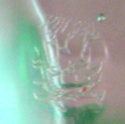 ID Help Please! Murano (?) maker's mark "Jack-in-the-Pulpit" style Vase Dsc09511
