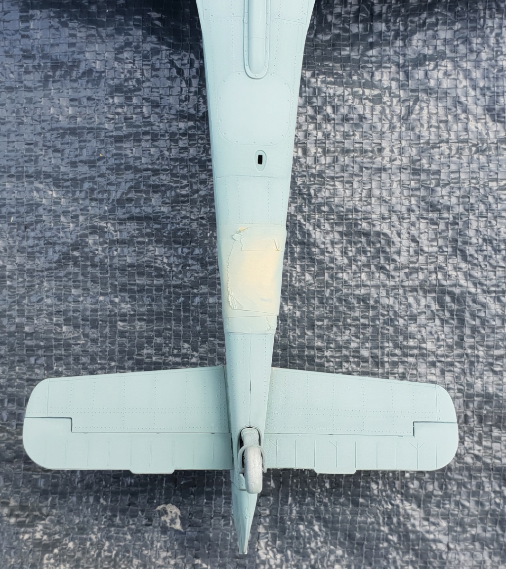 Focke Wulf 190 A8 1/32 de chez Revell  - Page 4 20190932