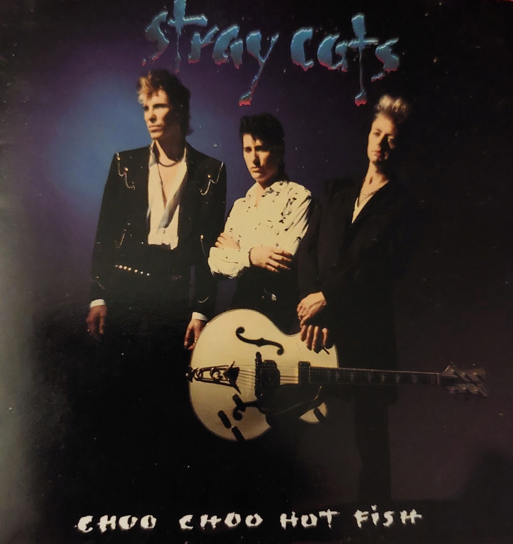 STRAY CATS - Página 14 20221021