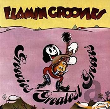 THE FLAMIN GROOVIES  515r0510
