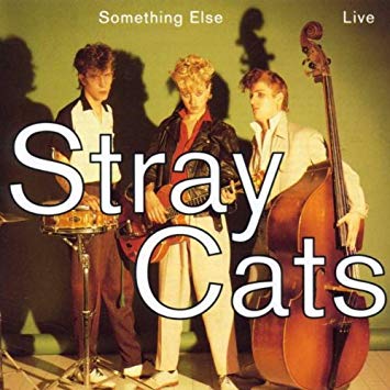 STRAY CATS LIVE  51qzgv10
