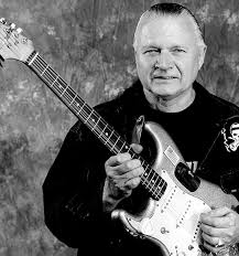 DICK DALE -KING OF THE SURF GUITAR Desca107