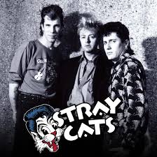 STRAY CATS - Página 16 Image280