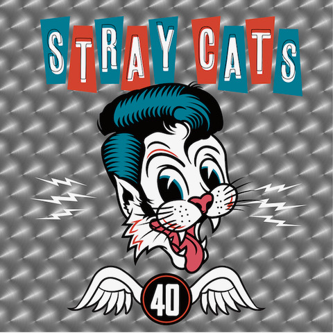STRAY CATS - Página 5 Stray-13