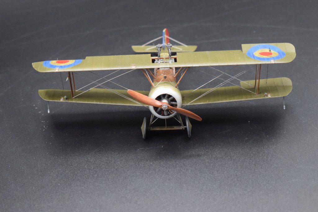 [Concours " La chasse de nuit "] [Eduard] Sopwith F.1 Camel "Comic"  1/48 Camel201