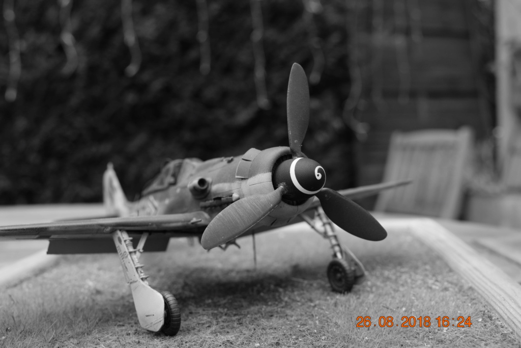 FW 190 D9 - 1/48° - kit Dragon-Trimaster D9_6810
