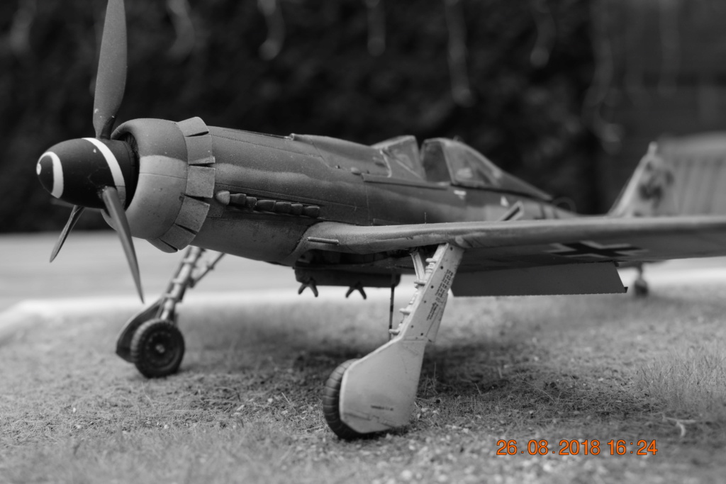 FW 190 D9 - 1/48° - kit Dragon-Trimaster D9_7110